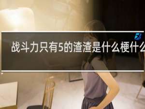 战斗力只有5的渣渣是什么梗什么梗