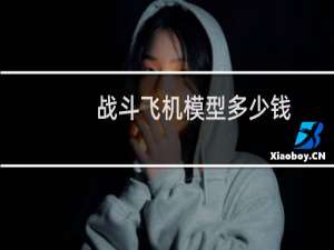 战斗飞机模型多少钱