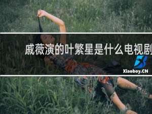 戚薇演的叶繁星是什么电视剧