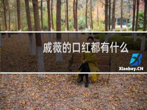 戚薇的口红都有什么