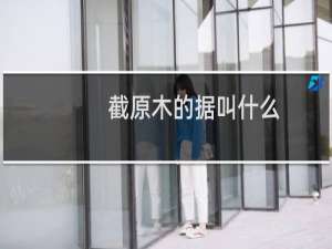 截原木的据叫什么