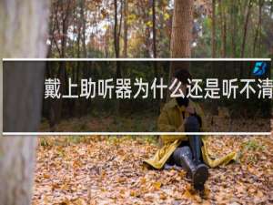 戴上助听器为什么还是听不清