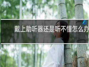 戴上助听器还是听不懂怎么办