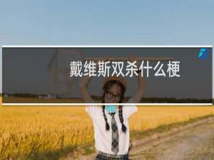 戴维斯双杀什么梗