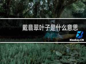 戴翡翠叶子是什么意思