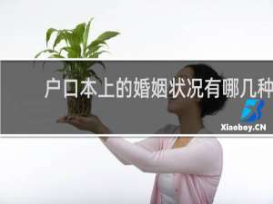 户口本上的婚姻状况有哪几种
