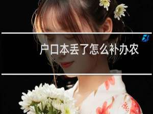 户口本丢了怎么补办农村医保（户口本丢了怎么补办）