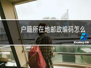 户籍所在地邮政编码怎么查