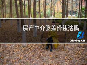 房产中介吃差价违法吗