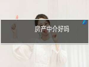 房产中介好吗