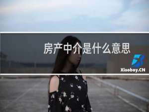 房产中介是什么意思