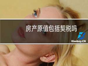 房产原值包括契税吗