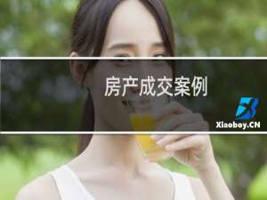 房产成交案例