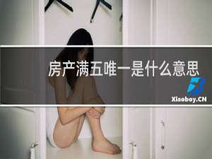 房产满五唯一是什么意思
