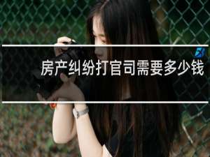 房产纠纷打官司需要多少钱