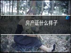 房产证什么样子