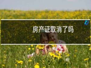 房产证取消了吗
