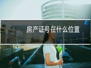 房产证号在什么位置