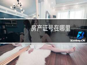 房产证号在哪里