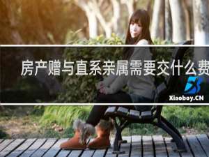 房产赠与直系亲属需要交什么费用