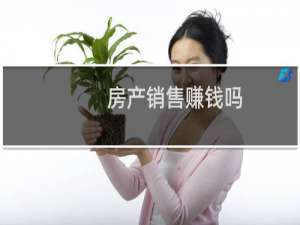 房产销售赚钱吗