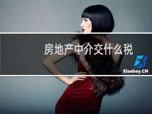 房地产中介交什么税
