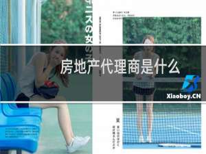房地产代理商是什么