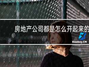 房地产公司都是怎么开起来的