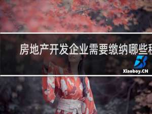 房地产开发企业需要缴纳哪些税