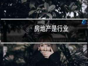 房地产是行业