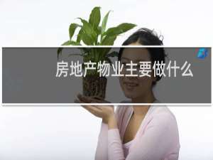 房地产物业主要做什么