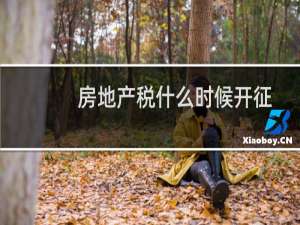 房地产税什么时候开征