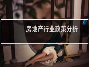 房地产行业政策分析