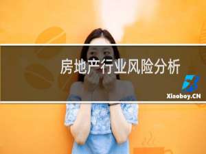 房地产行业风险分析