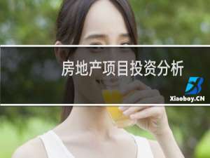 房地产项目投资分析