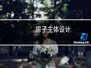房子主体设计