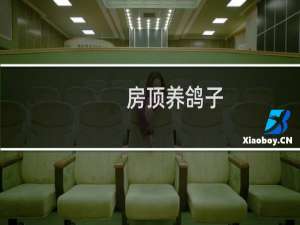 房顶养鸽子