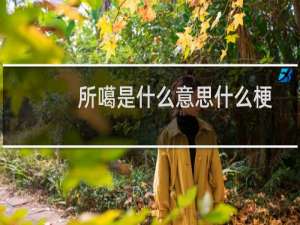 所噶是什么意思什么梗