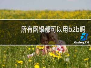 所有网银都可以用b2b吗