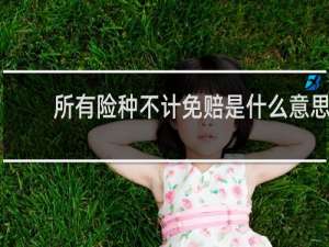 所有险种不计免赔是什么意思