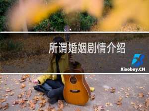 所谓婚姻剧情介绍