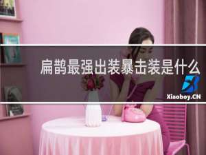 扁鹊最强出装暴击装是什么