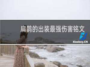 扁鹊的出装最强伤害铭文