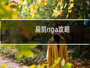扁鹊nga攻略