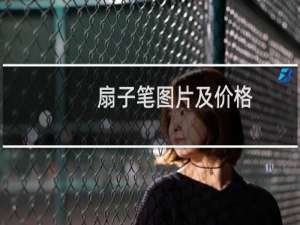 扇子笔图片及价格