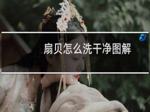 扇贝怎么洗干净图解（扇贝怎么洗）