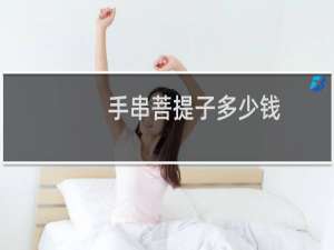 手串菩提子多少钱