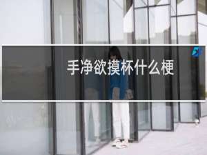手净欲摸杯什么梗