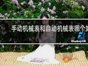 手动机械表和自动机械表哪个好