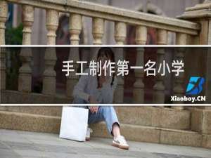 手工制作第一名小学